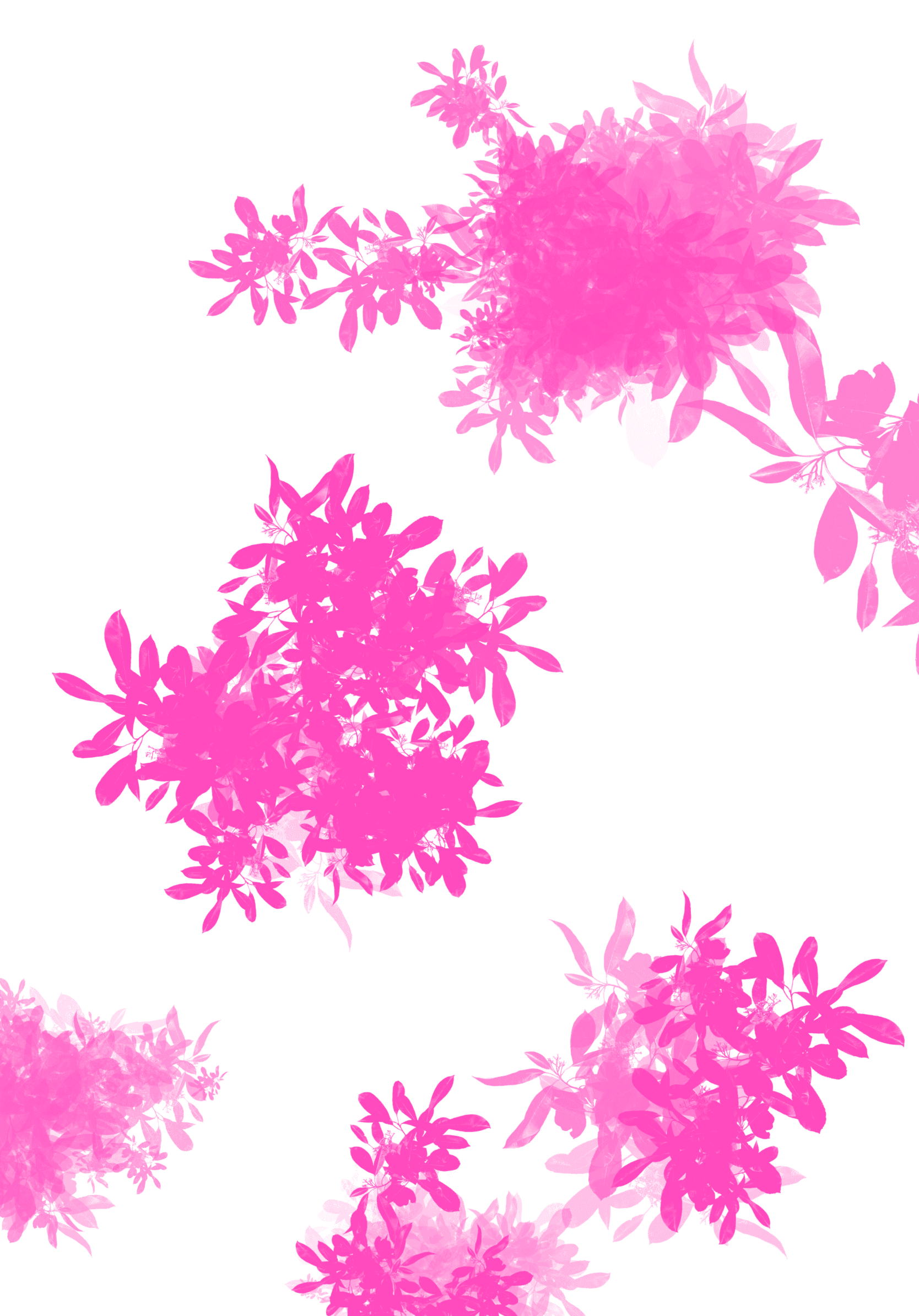 Neural Bloom